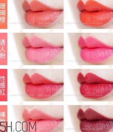 唇膏盤怎么用？口紅盤怎么用法