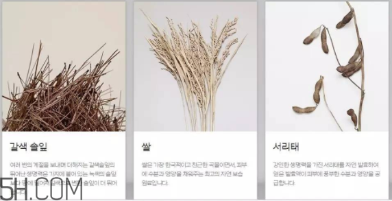 韓律護(hù)膚品怎么樣？韓律全系列介紹