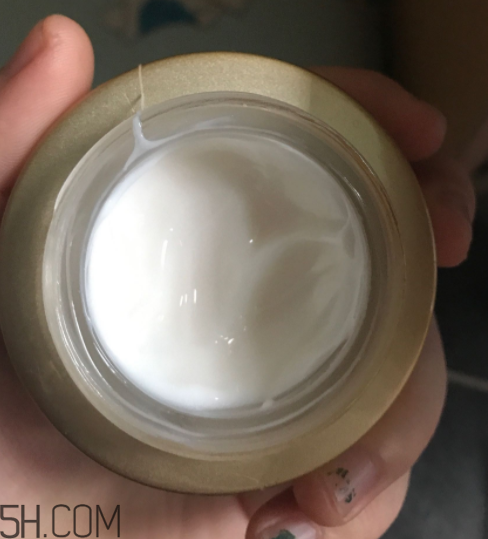 詩婷露雅蝸牛面霜適合秋冬嗎？適合油皮嗎？