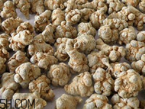 三七粉苦的好還是不苦的好？三七粉越苦越好嗎？