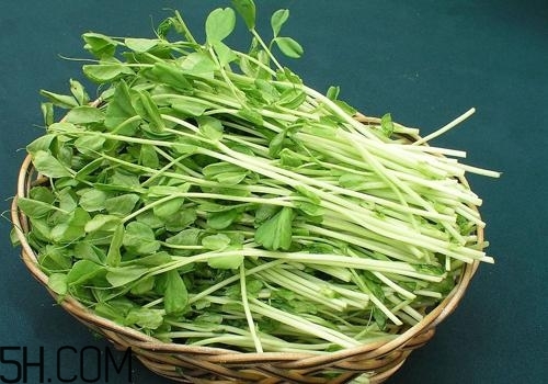 女性吃什么能瘦臉？能瘦臉的食物有哪些？