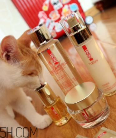 羽西蟲草新肌水有什么功效？適合什么膚質(zhì)？