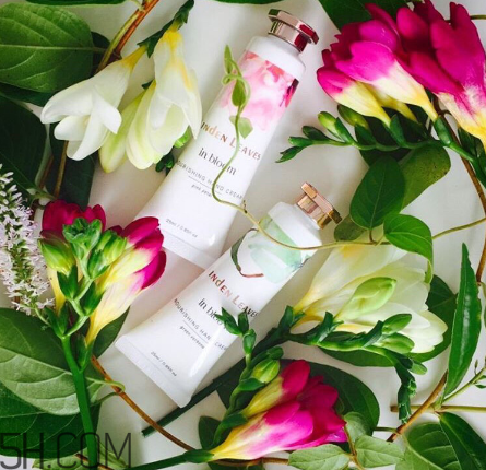 linden leaves香氛護(hù)手霜好用嗎？laura ashley護(hù)手霜好用嗎？