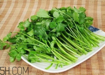 香菜根煮水怎么煮？香菜根煮水喝幾天見效？