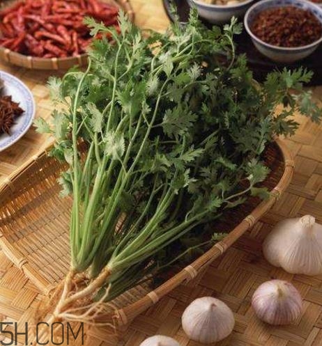 香菜根煮水能減肥嗎？香菜根煮水能天天喝嗎？