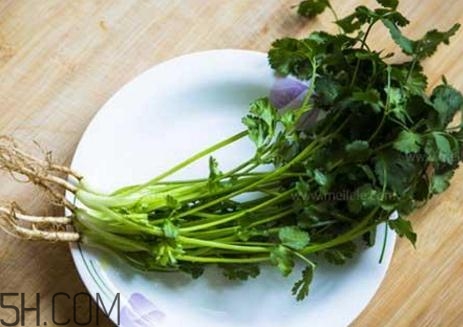 香菜根煮水能減肥嗎？香菜根煮水能天天喝嗎？