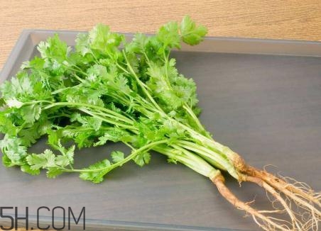 香菜根煮水能美白嗎？香菜根煮水能祛斑嗎？