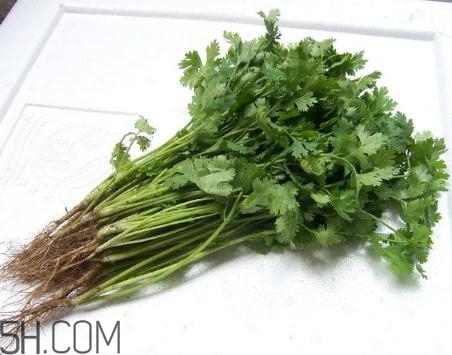 香菜根煮水能美白嗎？香菜根煮水能祛斑嗎？