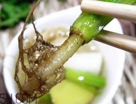 香菜根煮水能美白嗎？香菜根煮水能祛斑嗎？