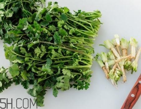 香菜根煮水能退燒嗎？香菜根煮水能治咳嗽嗎？