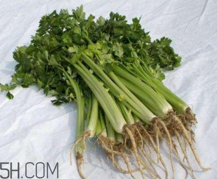香菜根煮水能退燒嗎？香菜根煮水能治咳嗽嗎？