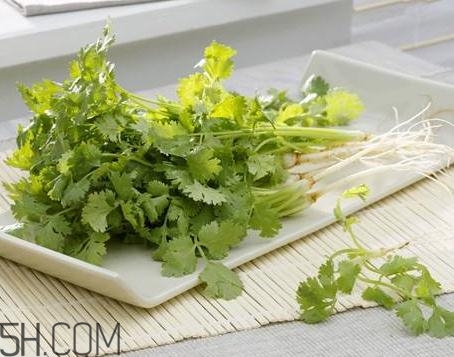 香菜根煮水能治濕疹嗎？香菜根煮水孕婦能喝嗎？