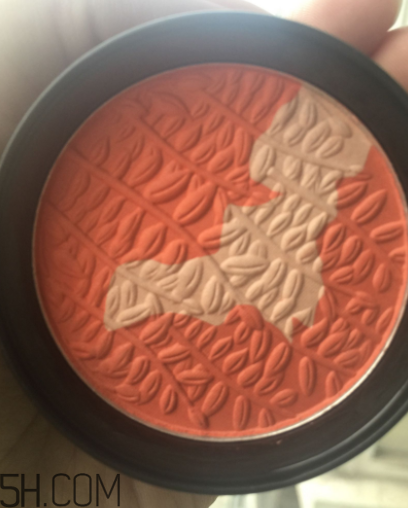 瑪麗黛佳腮紅怎么打？瑪麗黛佳腮紅怎么用？