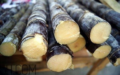 甘蔗和橙子能一起吃嗎？吃完甘蔗可以吃橙子嗎？