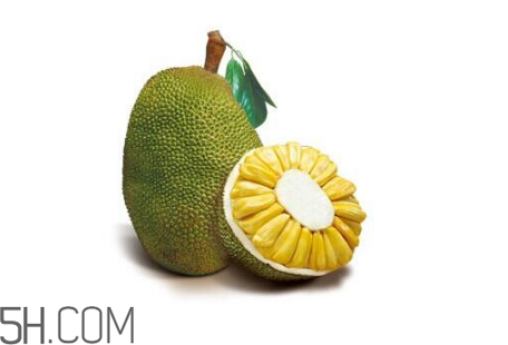 為什么吃菠蘿蜜拉肚子？吃菠蘿蜜拉肚子怎么辦？