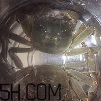 冬天可以吃大閘蟹嗎？冬天怎么吃大閘蟹？