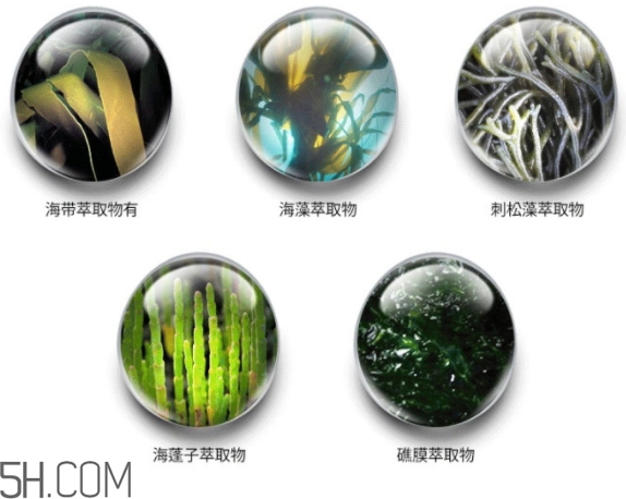jmsolution珍珠面膜怎么用？jm珍珠珍珠面膜分為三部曲