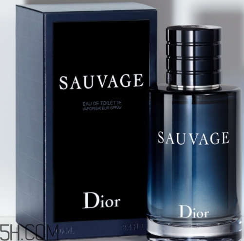 dior迪奧曠野男士淡香水好聞嗎？頻頻斷貨的魅力香水