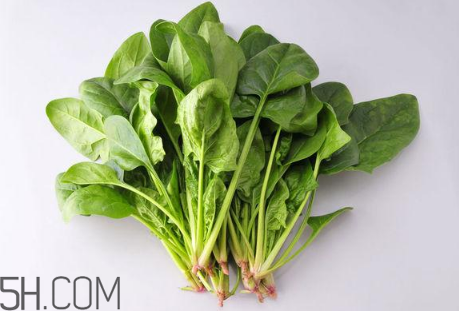 羊肉和菠菜能一起吃嗎？吃羊肉能吃菠菜嗎？