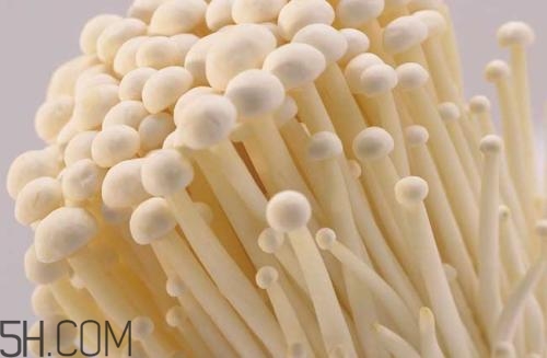 金針菇的食用禁忌有哪些？金針菇四大禁忌