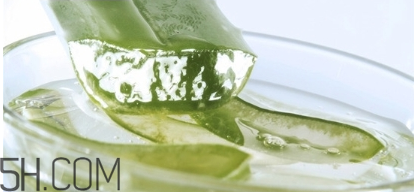 擠痘痘后可以涂蘆薈膠嗎？涂抹維生素e和蘆薈膠的作用