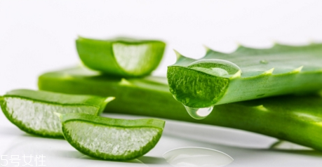 臉上過(guò)敏能用蘆薈膠嗎？蘆薈膠還可以去紅血絲
