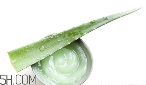 蘆薈膠吃了會(huì)怎樣？蘆薈膠的吃法