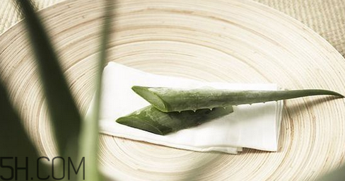 蘆薈膠吃了會(huì)怎樣？蘆薈膠的吃法