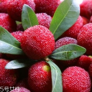 新鮮楊梅如何做酸梅湯？楊梅湯兩做法