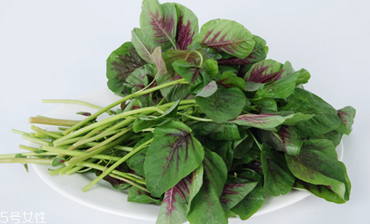 吃莧菜可以減肥嗎？減肥食物熱量排行榜