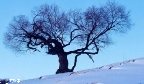 三九天最適合減肥的運(yùn)動(dòng)有哪些？推薦三種減肥運(yùn)動(dòng)