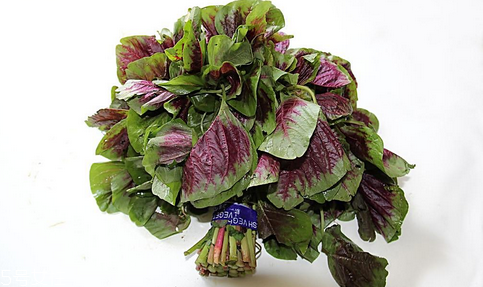 吃莧菜可以減肥嗎？減肥食物熱量排行榜