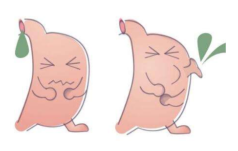 嘔酸水怎么辦？多補充堿性食物