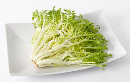 苦菊能減肥嗎？苦菊的各式做法