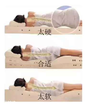 床越軟越好嗎？軟床導(dǎo)致駝背