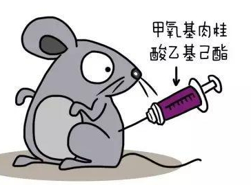 自然堂隔離霜孕婦可以用嗎？含有孕婦禁用成分