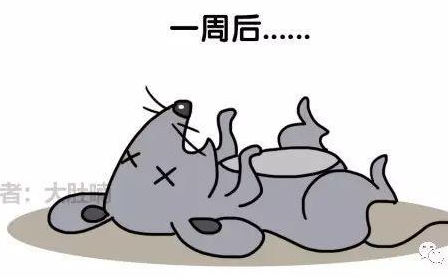 自然堂隔離霜孕婦可以用嗎？含有孕婦禁用成分