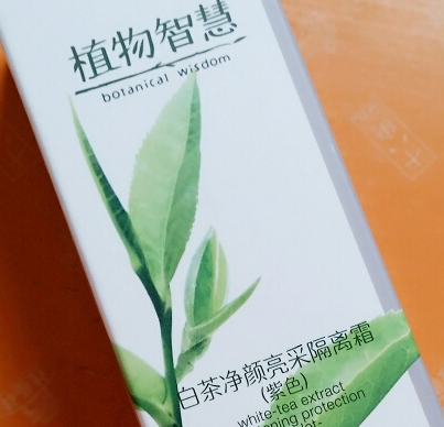 植物智慧適合什么年齡？各個年齡都可以駕馭