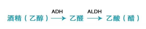 喝酒致癌的真相是什么？乙醛致癌太可怕