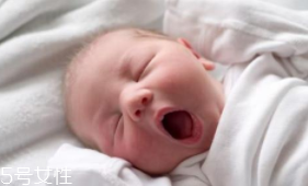 香蕉能安眠嗎？富含鎂元素讓人安眠