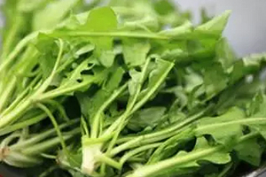 經(jīng)常用眼吃什么？多吃綠色和黃色食物