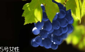 葡萄籽補(bǔ)劑要不要買？不如早睡早起