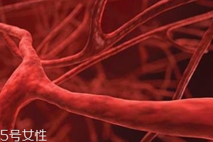 血管塞有什么征兆？這4個現(xiàn)象要警惕