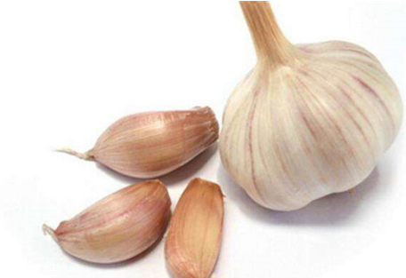 吃大蒜對(duì)腎有好處嗎？大蒜泡酒可補(bǔ)腎