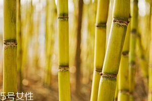 吃甘蔗臉會變大嗎？原來還有這么一說