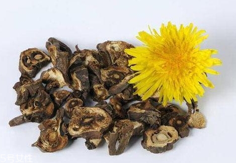 蒲公英和紅茶能一起喝嗎？混合起來(lái)功效多