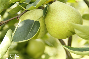 梨子煮熟吃有什么好處？熟梨的常見吃法
