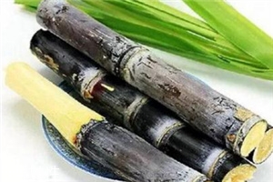 冬季吃甘蔗有什么好處？它被稱為冬季人參