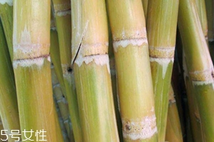 甘蔗吃多了對(duì)牙齒好嗎？有可能損傷牙齒