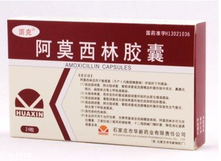 阿莫西林會(huì)影響月經(jīng)嗎？阿莫西林跟月經(jīng)無(wú)關(guān)聯(lián)